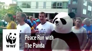 Peace run with WWF panda