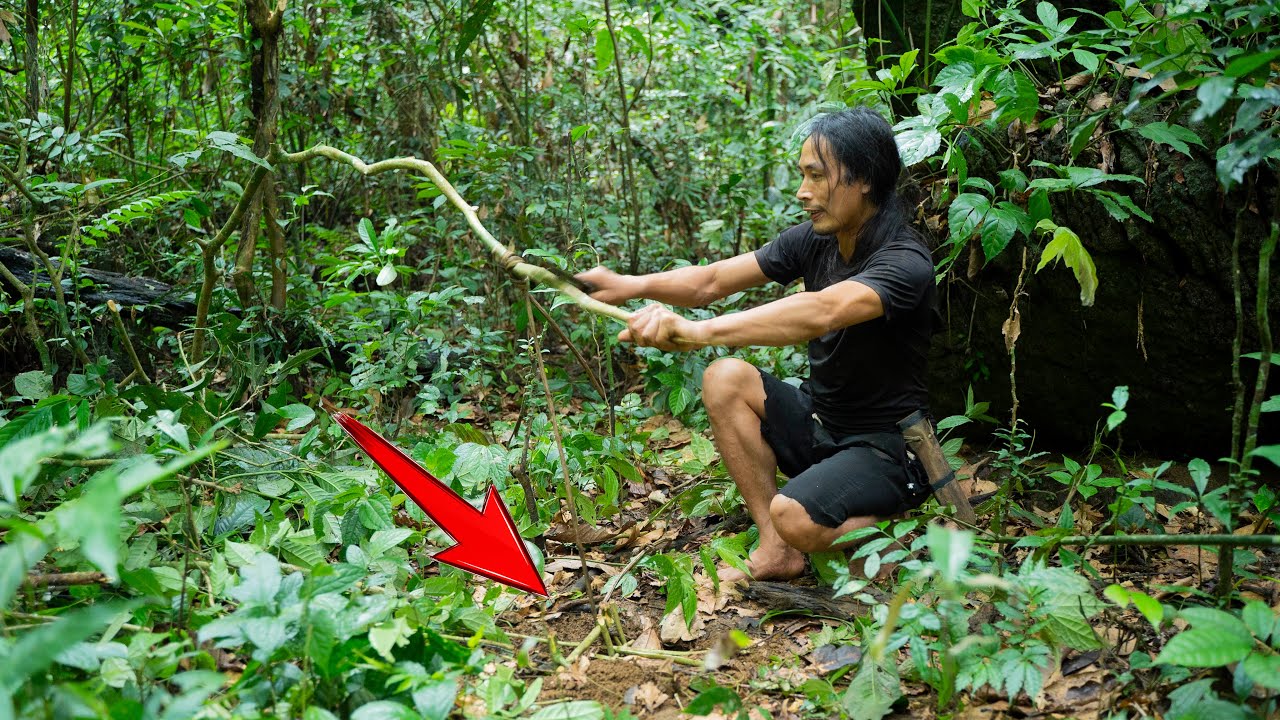 #1 Tracing the trail of wild boar, Eat insects to survive in the ...