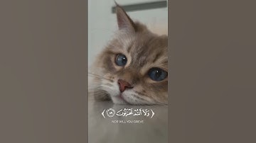 تلاوة من سورة الأعراف بصوت القائ فايح الحارثي. 🕊❤️‍🩹 #جندل_صلاح #محمد_عباهرة