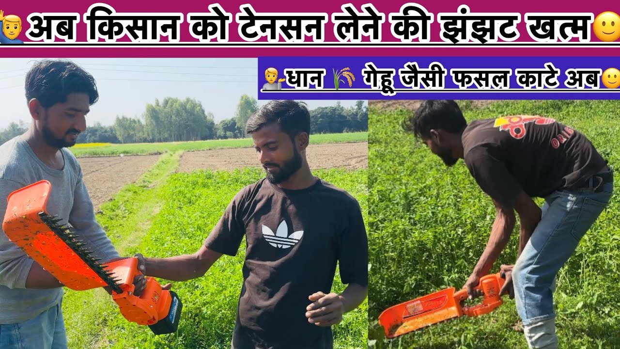 भारत की पहली इलेक्ट्रीव द्रत्ती धान 🌾 गेहु जैसी फसल काटे सेकेंडों में//Tea Harvesting Electric Drati