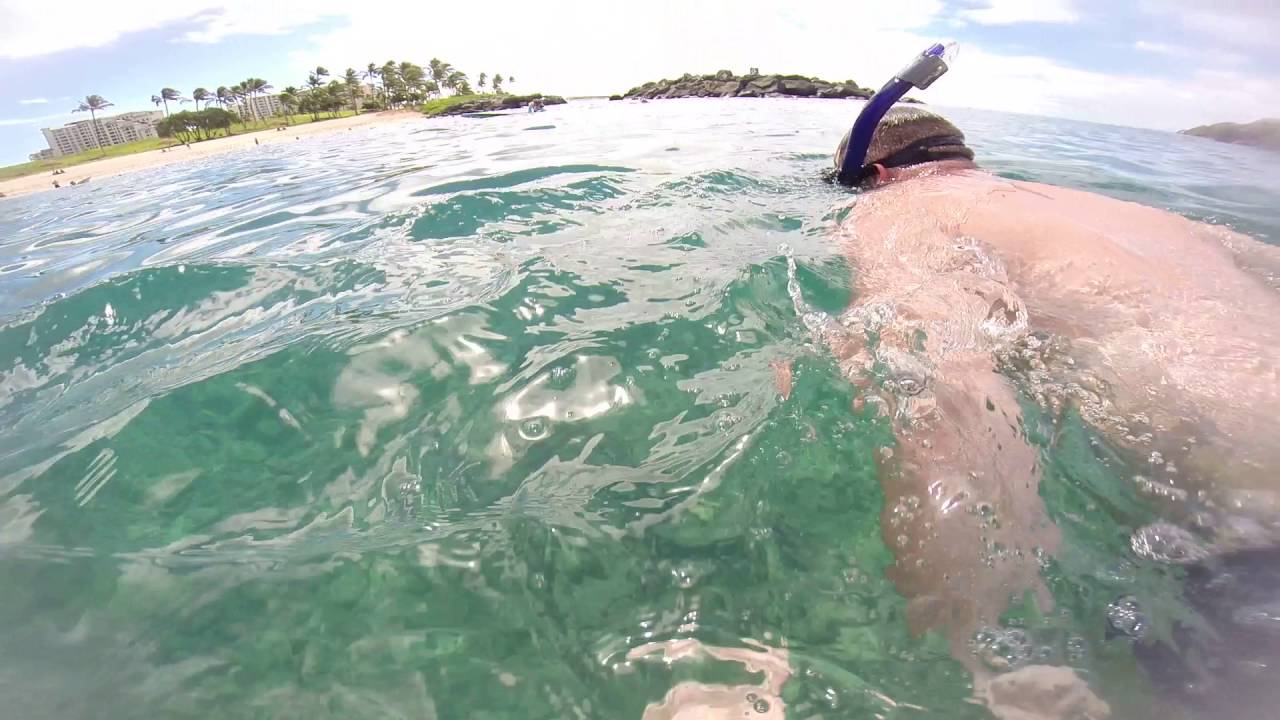 Snorkeling at Ko'Olina, Oahu, Hawaii, Part II YouTube