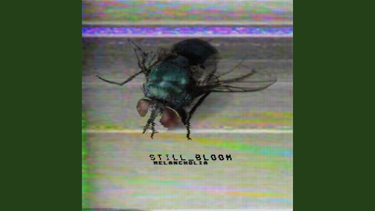 Watch Scanner-01 on YouTube Watch Scanner-01 on YouTube