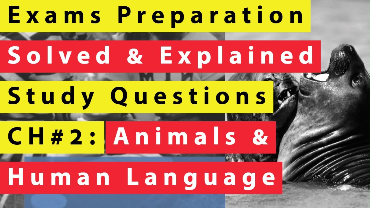 Answer Key | Study Questions | Animals and Human Language | Solved and  Explained | Chapter 2 - YouTube