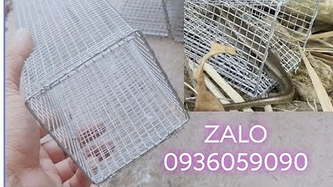 Bán lồng bẫy rắn mối. Bán bẫy rắn mối có ngăn nhốt mồi, có cửa bắt rắn mối. Bán bẫy dông cát.