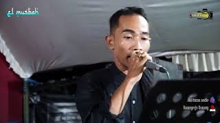 Download lagu Karya : HABIB Abu Bakar Salim Hadramaut Yaman :: WAINAK YA DARBIL MAHABAH