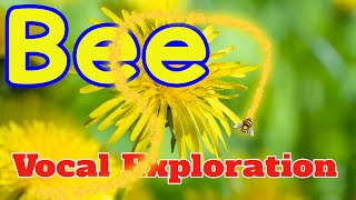 Bee Vocal Exploration