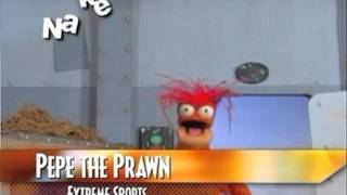 Janicek Media Hosted Net Sizzle.mov