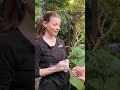 Big Bugs to See at Long Island Aquarium