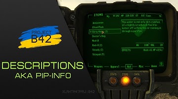 B42 Descriptions AKA Pip-Info =RELEASE=