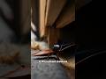 This Cockroach Camera Footage Changes Everything #shorts #animals #pov
