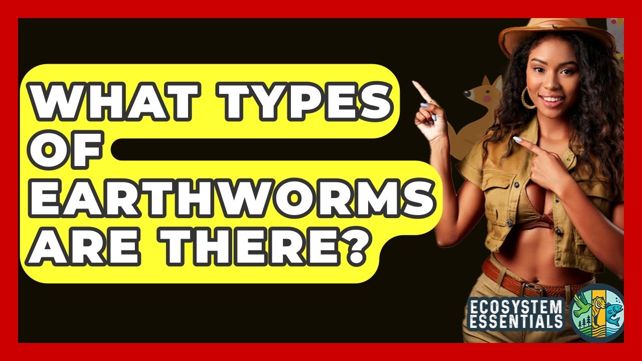 What Types Of Earthworms Are There? - Ecosystem Essentials