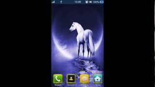 HD bada 2.0 flash theme (live wallpaper) - Horse screenshot 3