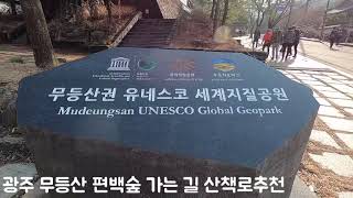무등산 편백숲 영상