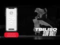 Tbiliso - Slow Waltz