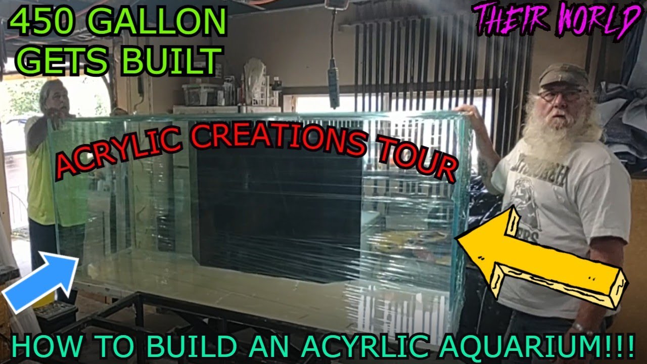 How Long Do Acrylic Aquariums Last? Update New
