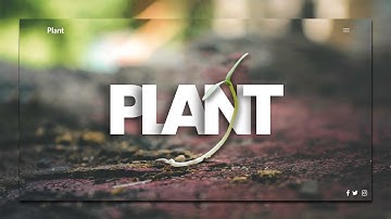 Responsive Nature Landing Page Design With Animated NavBar using Html Css JavaScript