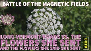 Battle of The Magnetic Fields: Day 44 - Long Vermont Roads vs. The Flowers She Sent and...