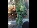 ياجماعه أنا همي تدعو وتترحمو على باهر ولاهمي أي شي تاني اترحمو عليه وادعولو ولكل المسلمين والمؤمنين 