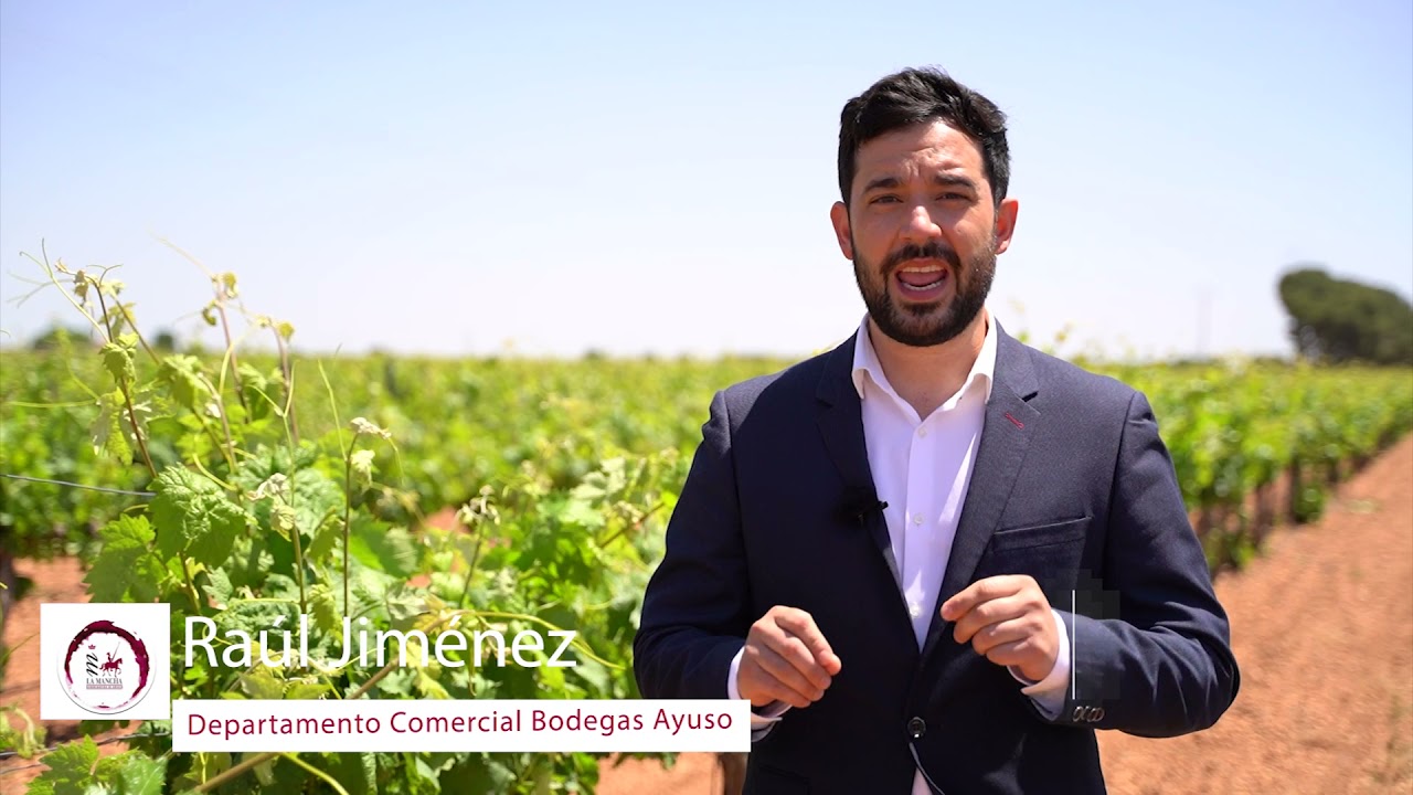 Bodegas Ayuso - Denominación de Origen La Mancha