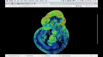 The FaceBase website and how to filter data
