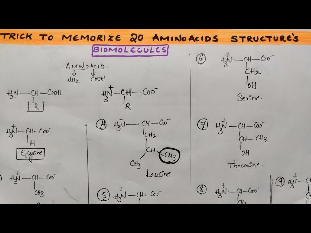 20 Amino Acid Structures Amino Acid: Structure And Functions