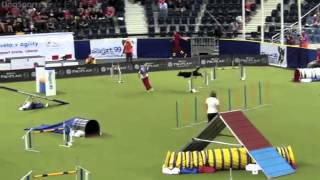 Lisa Frick Large Agility 1st place:: Slow Motion