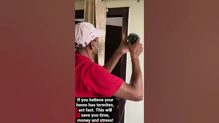 Best termite Proofing