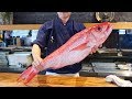 日本巨型長尾濱鯛切割Japanese Giant Longtail Red Snapper Cutting & 料理