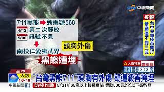 曾翻冰箱.受困陷阱! 台灣黑熊711疑遇害遭埋│中視新聞 20220511