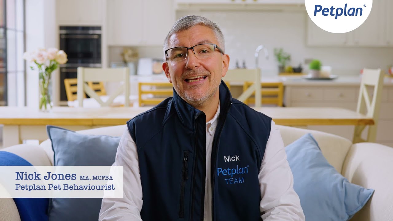 petplan behaviourist cover