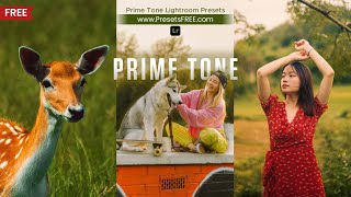 FREE Prime Tone Lightroom Presets to Elevate Your Photo Editing Game! - Prime Tone Free Presets 😍 screenshot 1