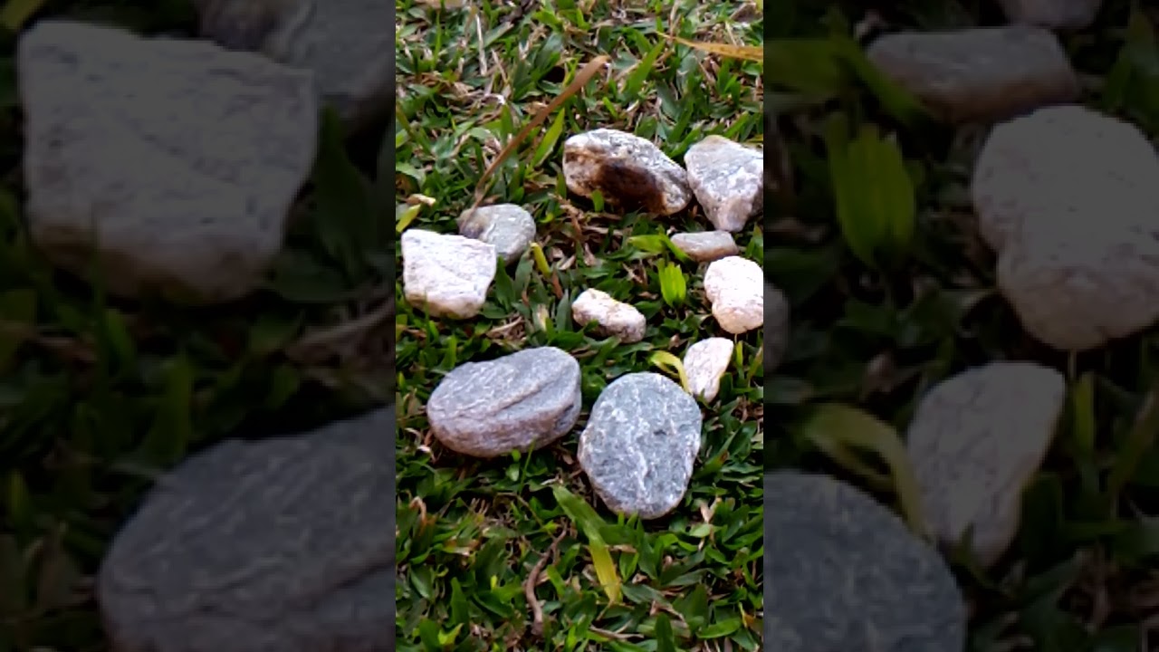 noti de Nati faviano y Andrea Bernave -8-8-2022 biodecod.