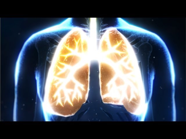 You Are the Lungs