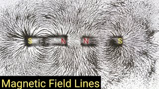 magnetic field and field lines | How to draw magnetic field lines | science experiments