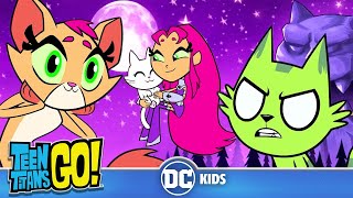 Teen Titans Go! | Cats 😽Meow-ments 😻| @dckids