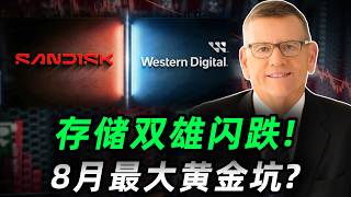 财报炸裂却回调10%，AI存储神话要破灭吗？闪迪、西部数据会是8月最大黄金坑吗？深度拆解Q4 财报!SNDK,WDC,STX,MU,SKHY#trading #投資 #美股