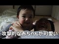 攻撃してくる生後9か月の赤ちゃんが可愛い