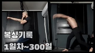 복싱초보의 1일차 ~ 300일까지의 기록