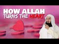 How allah turns the hearts  mufti menk