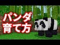 パンダ Panda の繁殖方法 育て方 生態 スポーン条件 増やし方 を解説 マインクラフト1 14 1 8 統合版BE PC 