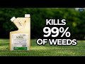 Warning extremely potent herbicide smokes clover creeping charlie wild violet