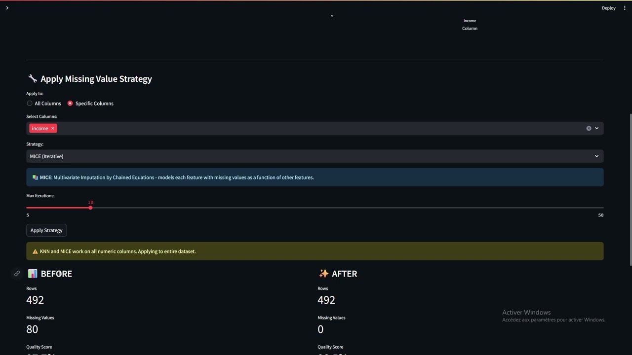 Data Cleaning Pro - Educational Education