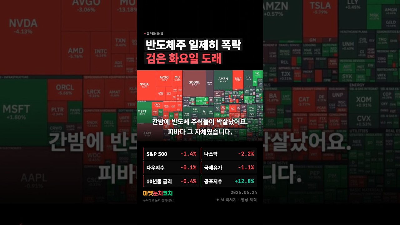 엔비디아·마이크론 동반 급락📉 반도체 위기? 대체 왜?