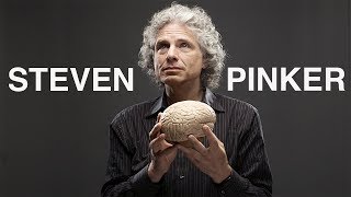 Steven Pinker - 'From Neurons to Consciousness'