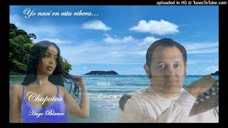 Version 3 of the video