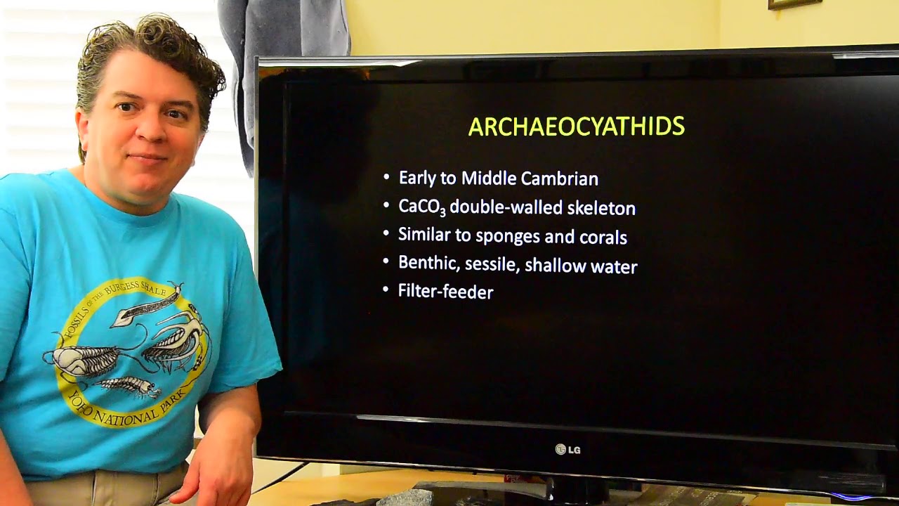 Historical Geology- Palaeozoic Life vol. 1