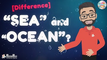 Sea vs Ocean: Difference?