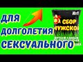 ДЛЯ ОТЛИЧНОЙ ЭРЕКЦИИ ЧУДО-ТРАВЫ. МУЖСКОЙ СБОР.  ВОССТАНОВЛЕНИЕ ЭРЕКЦИИ. ПОВЫШЕНИЕ ТЕСТОСТЕРОНА