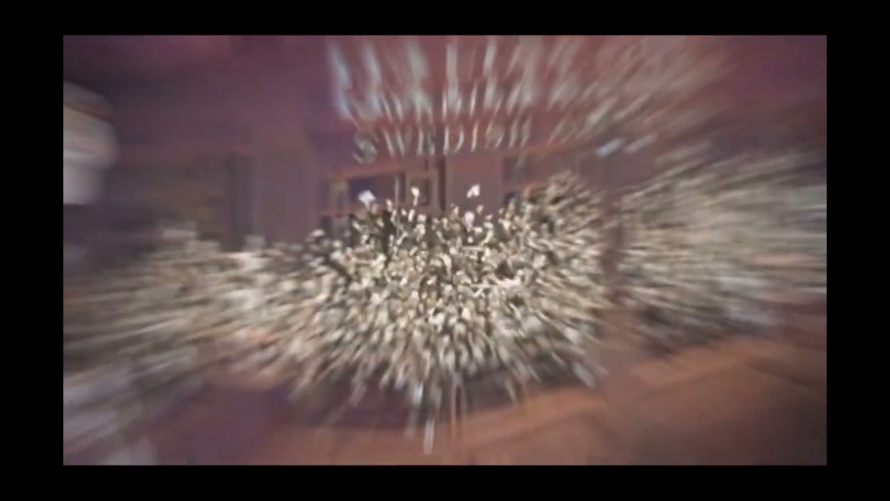 T h e   C a r e t a k e r   -   F l e e t i n g   D r e a m s  |  [ V I S U A L ]  |  A E B B T W