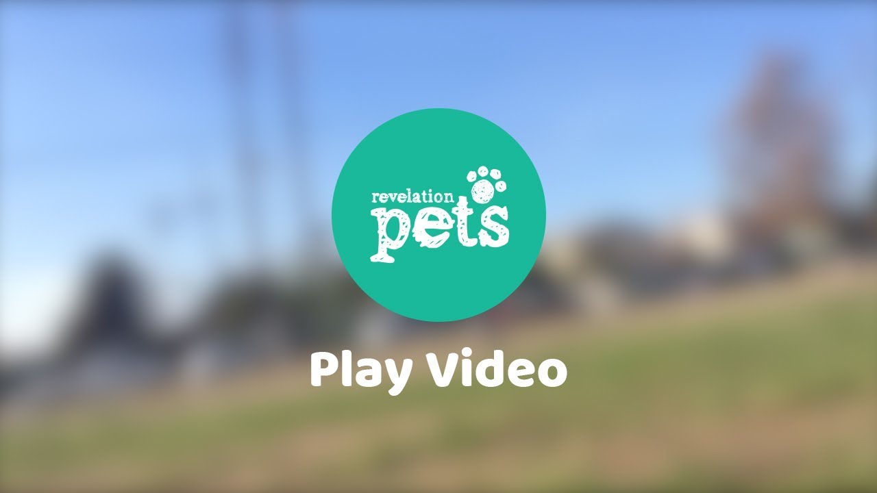 Welcome to Revelation Pets